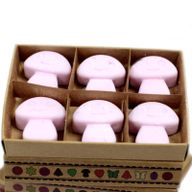 Box of 6 Wax Melts - Ylang Ylang