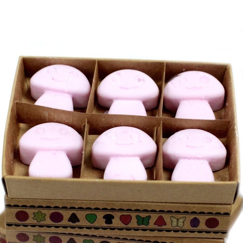 Box of 6 Wax Melts - Ylang Ylang
