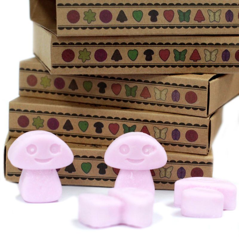 Box of 6 Wax Melts - Ylang Ylang