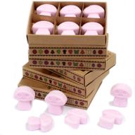 Box of 6 Wax Melts - Ylang Ylang