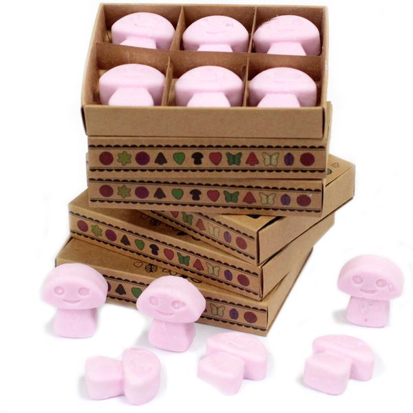 Box of 6 Wax Melts - Ylang Ylang