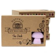 Box of 6 Wax Melts - Ylang Ylang