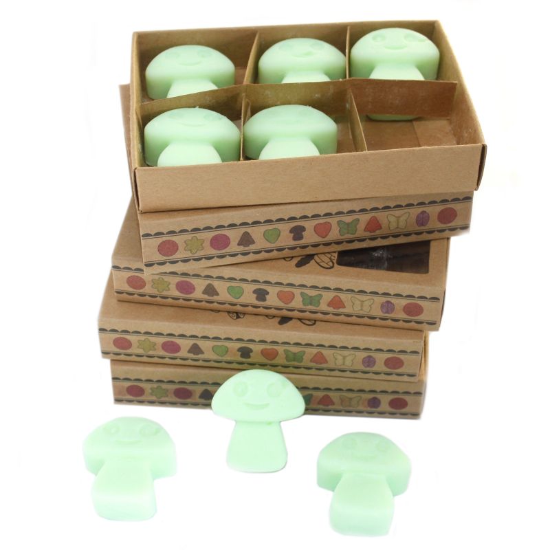 Box of 6 Wax Melts - Liquorice