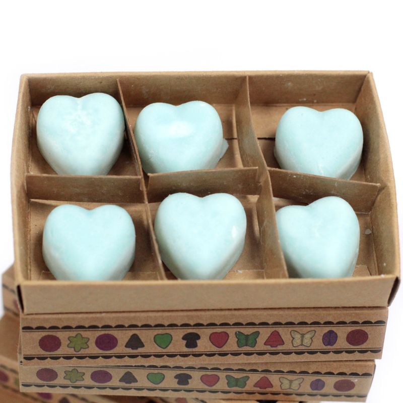 Box of 6 Wax Melts - Nagchampa