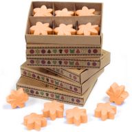 Box of 6 Wax Melts - Mango Fruits