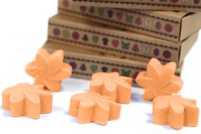 Box of 6 Wax Melts - Mango Fruits