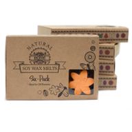 Box of 6 Wax Melts - Mango Fruits
