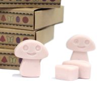 Box of 6 Wax Melts - Old Ginger