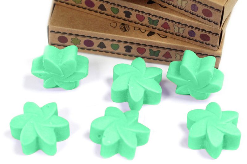 Box of 6 Wax Melts - Hidden Garden
