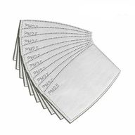 PM2.5 Face Mask Filter Insert (Children)