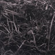 Very Fine Shredded paper - Chocolate (0.5KG)