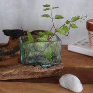 Molten Glass Tank on Wood with Stand - Small Bowl
