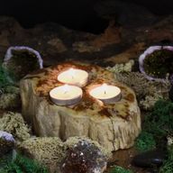Petrified Wood Candle Holder - Double
