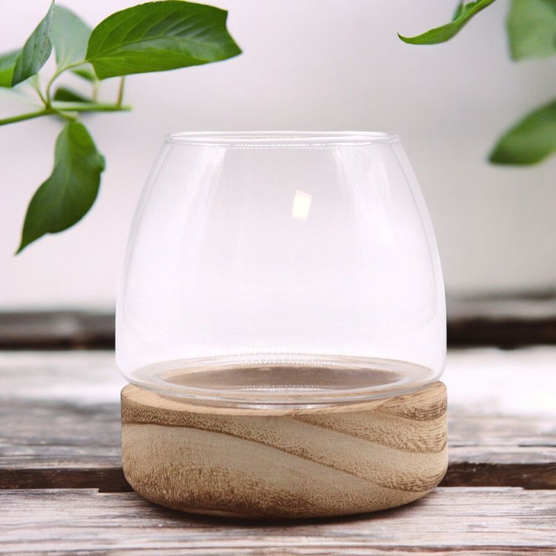 Mini Terrarium on Natural Tung Wood
