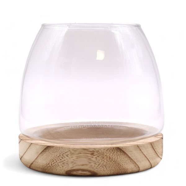 Medium Terrarium on Natural Tung Wood