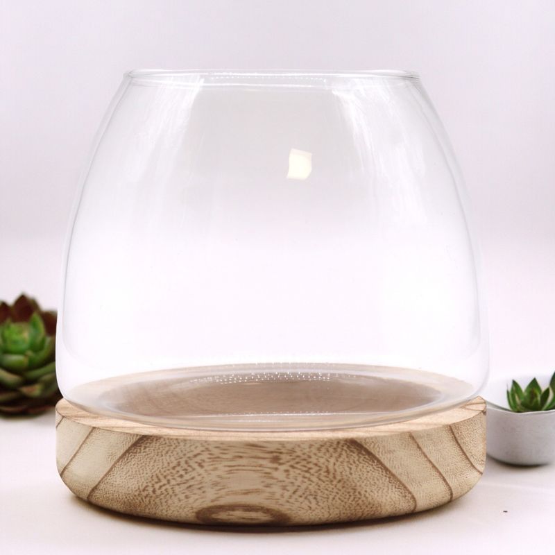 Medium Terrarium on Natural Tung Wood