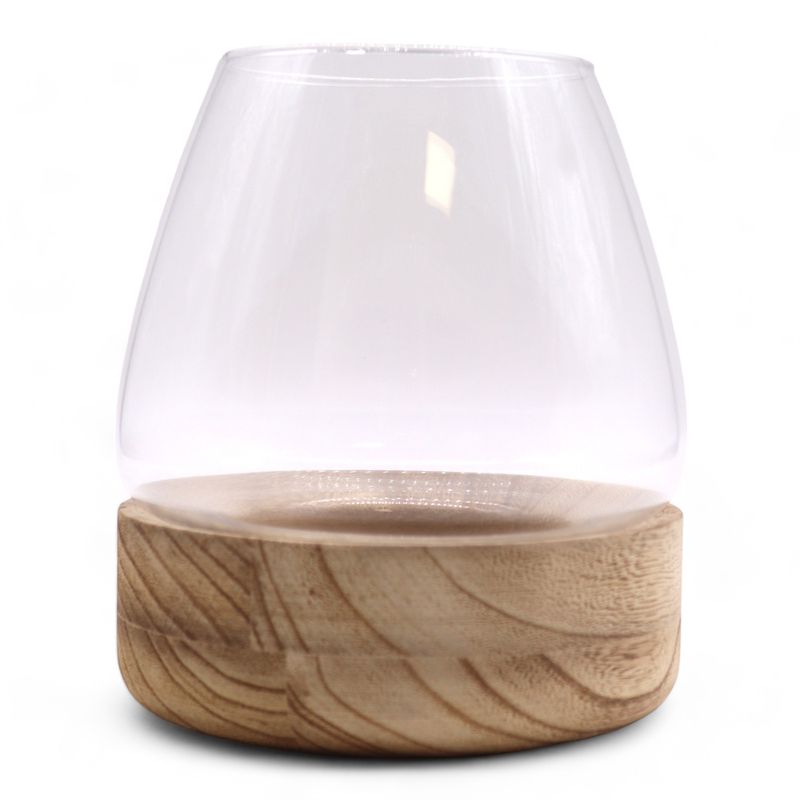 Large Terrarium on Natural Tung Wood