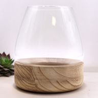 Large Terrarium on Natural Tung Wood