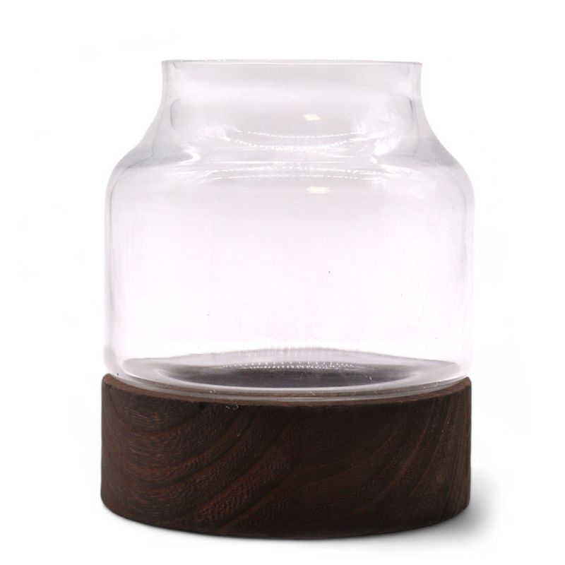 Small Shaped Terrarium on Dark Tung Wood
