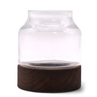 Small Shaped Terrarium on Dark Tung Wood