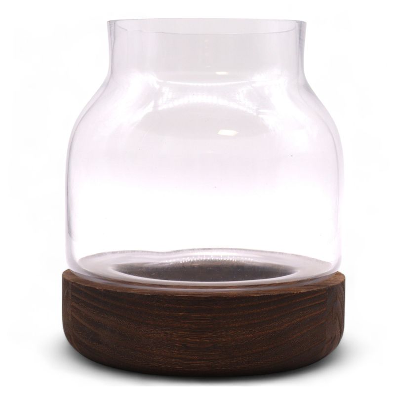 Medium Shaped Terrarium on Dark Tung Wood
