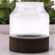 Medium Shaped Terrarium on Dark Tung Wood