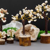 Med Gomati Chakra Circle Stone Tree - (45 stones)