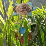 Aqua Turtle Carving and Copis Drop