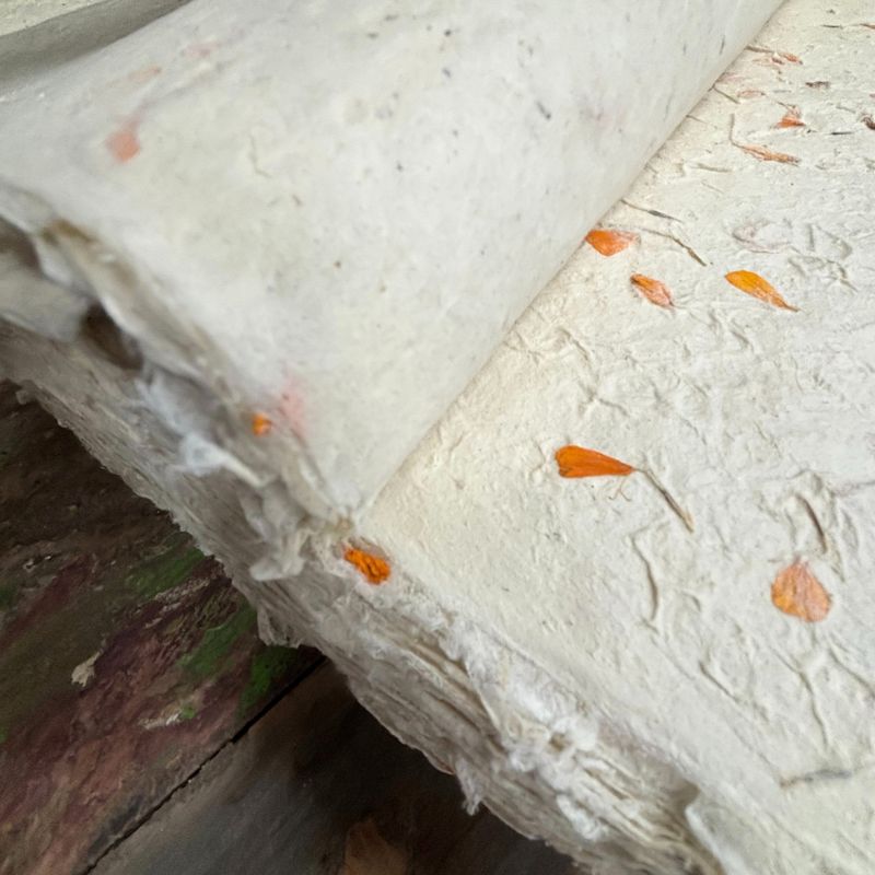 Lokta Craft & Wrapping Paper 51x76cm - Marigold