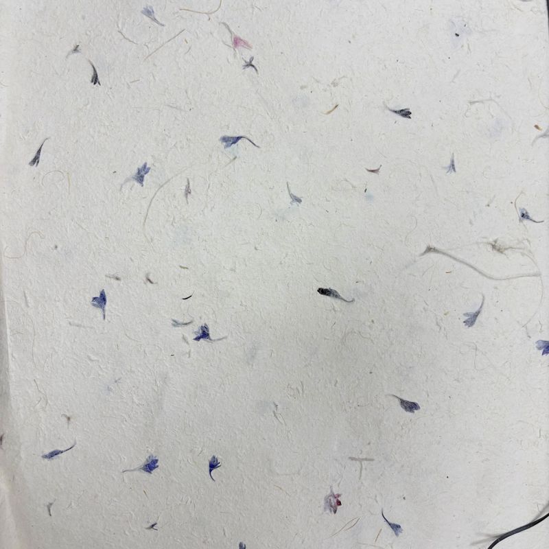 Lokta Craft & Wrapping Paper 51x76cm – Cornflower Petal