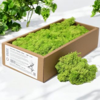 Decorative Reindeer Moss