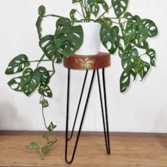 Albasia Wooden Plant Stands