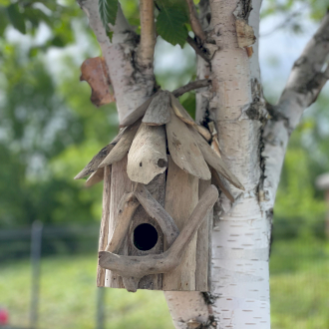 Bird Boxes and Bee & Insect Boxes