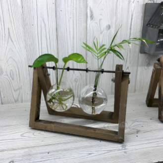 Hydroponic Home Décor