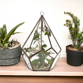 Glass Terrariums