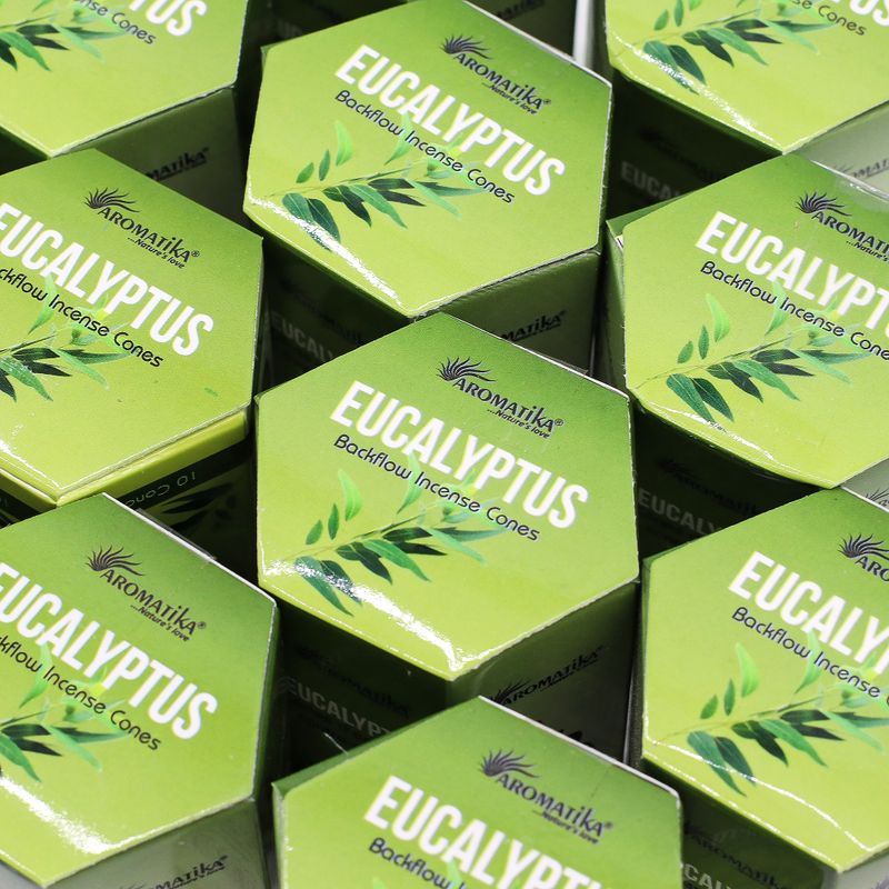 Pack of 10 Masala Backflow Incense - Eucalyptus