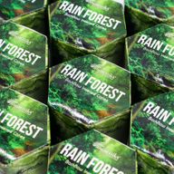 Pack of 10 Masala Backflow Incense - Rain Forest