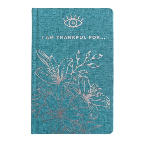 Blue Gratitude Journal with Silver Lining - 120 pages - I am Thankful For