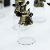 Gift Set of 12 Glasses (25ml) - Forest & Mystical Creatures