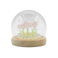 Floral Glow Garden Dome - 10 Pink Roses - LED USB