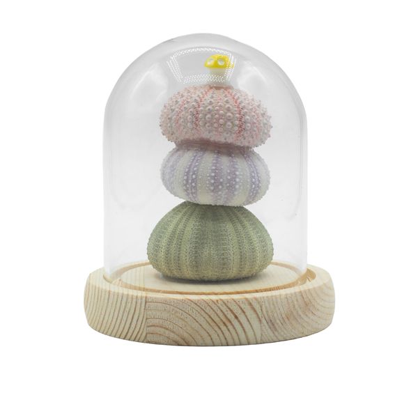 Floral Glow Garden Dome - 3 Sea Urchins - LED USB