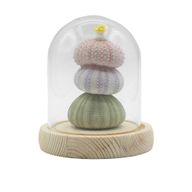 Floral Glow Garden Dome - 3 Sea Urchins - LED USB