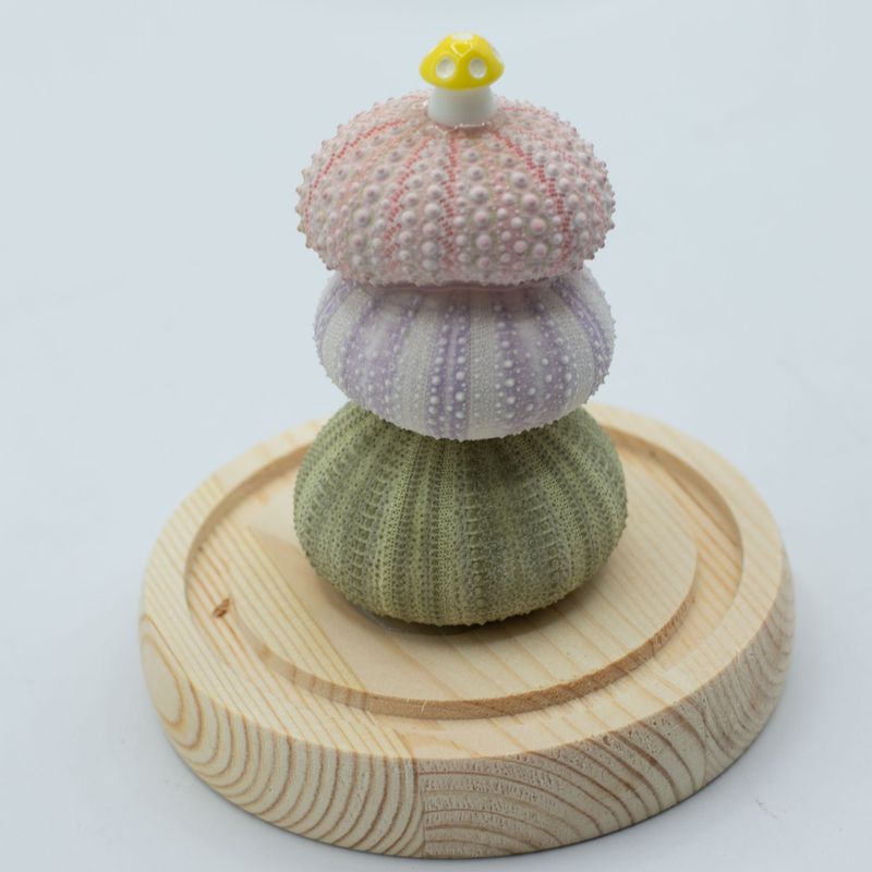 Floral Glow Garden Dome - 3 Sea Urchins - LED USB