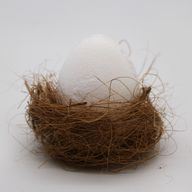 6 Bath Eggs in a Tray - Coconut