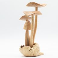 Handmade Parasite Wood Art Carving - Set of 4 Large Mushrooms