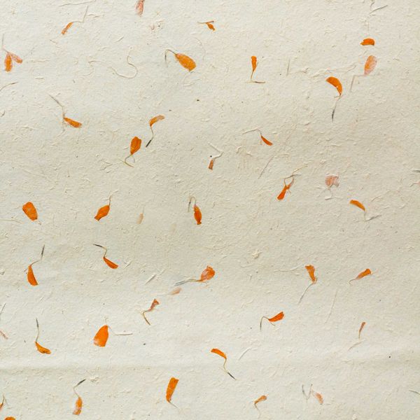 Lokta Craft & Wrapping Paper 51x76cm - Marigold