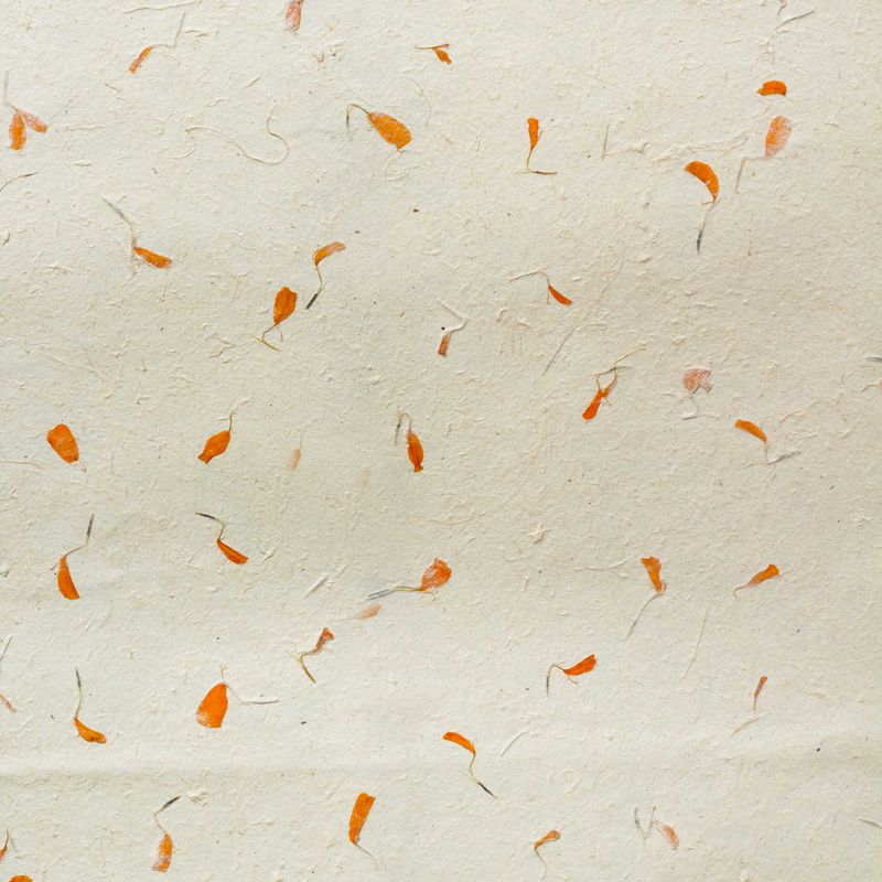 Lokta Craft / Wrapping Paper (51x76cm) - Marigold