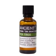 Tea Tree Organic Essential Oil 50ml