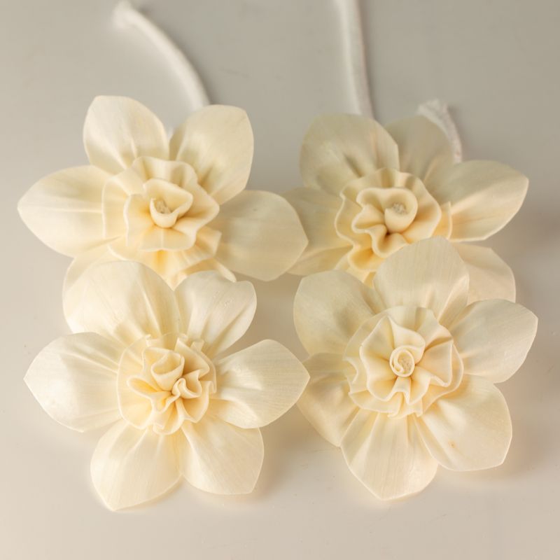 Natural Diffuser Flowers – Large Lily on String