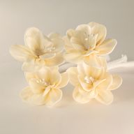 Natural Diffuser Flowers – Small Lily on String